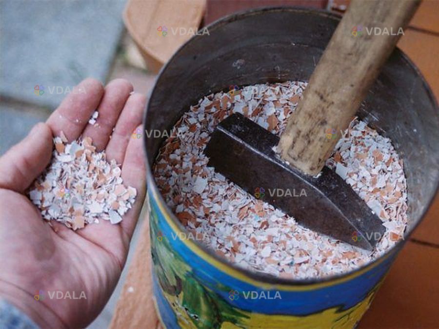 Скорлупа куриных яиц Скорлупа куриных яиц - VDALA.PRO