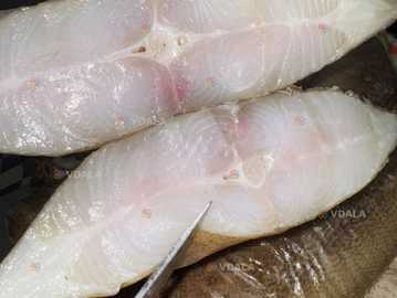 Палтус Х/к - VDALA.PRO