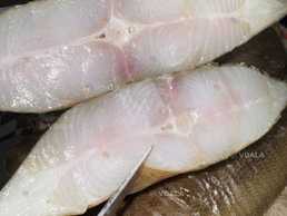 Палтус Х/к - VDALA.PRO