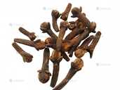 Гвоздика (1кг) - VDALA.PRO - 1