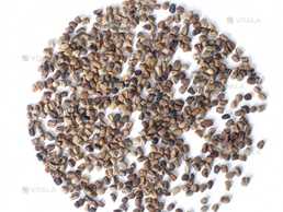 Кардамон очищенные семена - VDALA.PRO