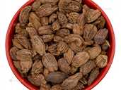 Кардамон черный зерна, 100г Кардамон черный зерна, 100г - VDALA.PRO - 1