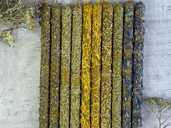 Восковые свечи с травами - 1 Восковые свечи с травами - VDALA.PRO - 1