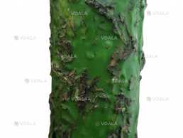 Свеча ритуальная с травами - VDALA.PRO