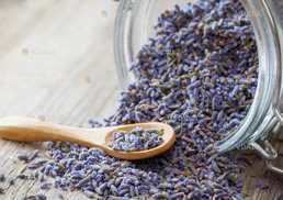 Лаванда цвет (1кг) - VDALA.PRO