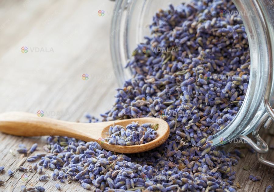 Лаванда цвет (1кг) - VDALA.PRO