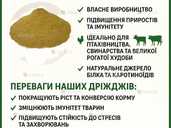 Кормові дріжджі – білково-вітамінна добавка від виробника Кормові дріжджі – білково-вітамінна добавка від виробника - VDALA.PRO - 1