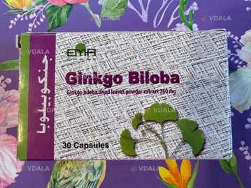 Гинкго билоба - VDALA.PRO