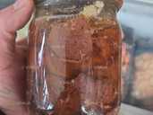 Тушенка с лося 500г - VDALA.PRO - 1