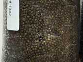 Натуральная черная икра дикого осетра - VDALA.PRO - 1