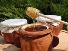 Мед майский в горшочке - VDALA.PRO