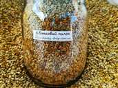 Цветочная пыльца 0,5л (350г) В стеклянной банке! 2025 р - 1 Цветочная пыльца 0,5л (350г) В стеклянной банке! 2025 р - VDALA.PRO - 1