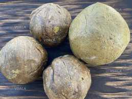 Прополис пчелиный 100 грамм - VDALA.PRO