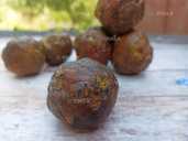 Прополис пчелиный 100 грамм - 4 Прополис пчелиный 100 грамм - VDALA.PRO - 4