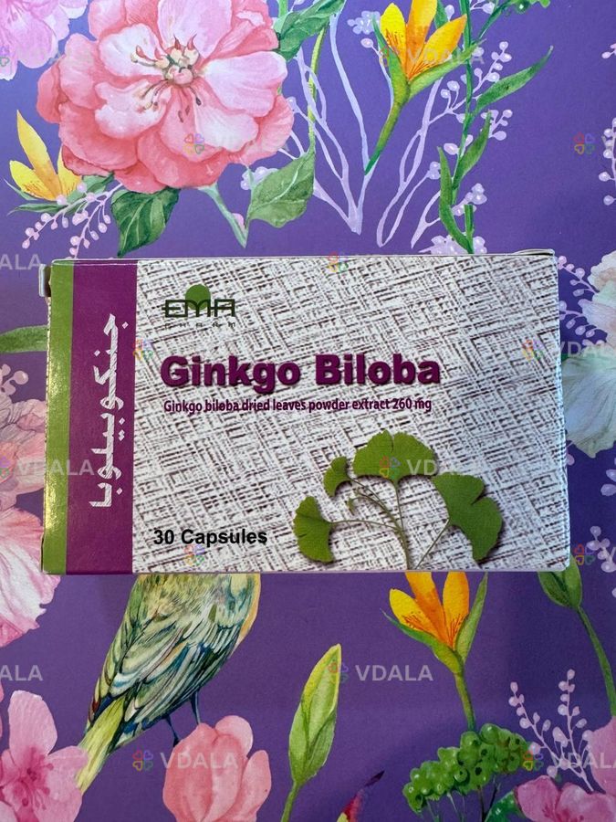 Гинкго билоба - VDALA.PRO