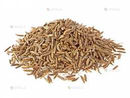 Тмин обыкновенный семя (1кг) - VDALA.PRO