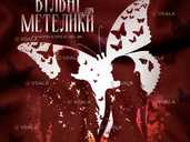 «Вільні метелики» - VDALA.PRO - 1