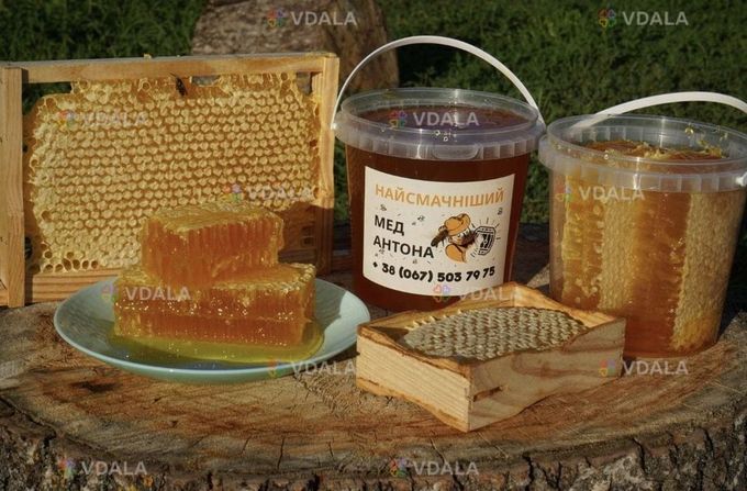 Мед у сотах - VDALA.PRO