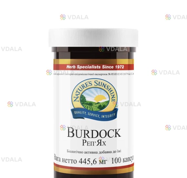 Репейник (Burdock) Репейник (Burdock) - VDALA.PRO