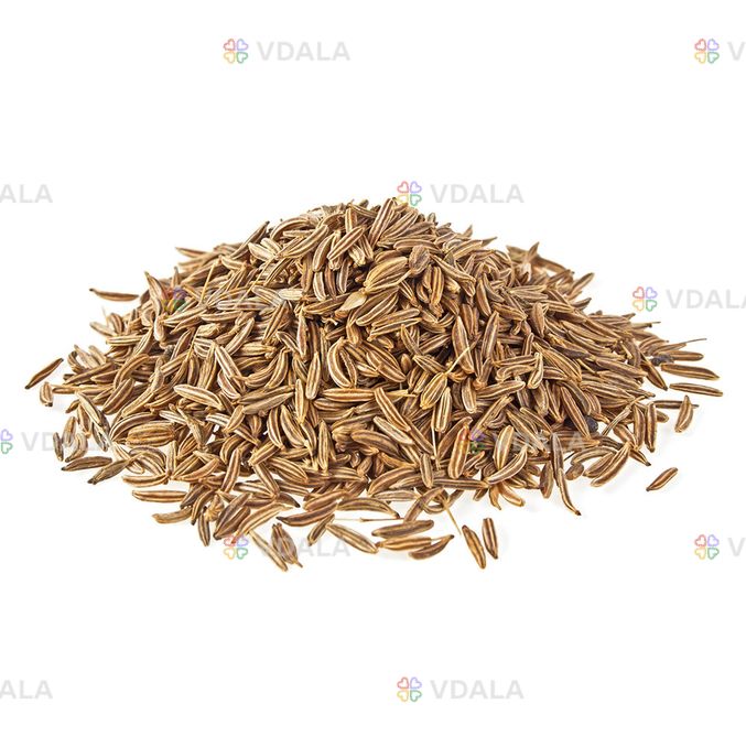 Тмин обыкновенный семя (1кг) - VDALA.PRO