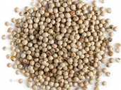 Перец белый горошек Перец белый горошек - VDALA.PRO - 1