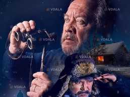 Сірі бджоли - VDALA.PRO