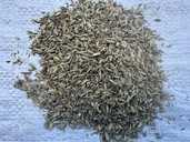 Фенхель семена 0,5 кг - VDALA.PRO - 1