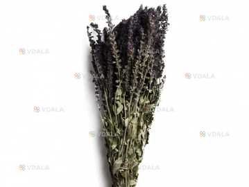 Шалфей Луговой Трава Пучок - VDALA.PRO