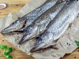 Щука вяленая, 200-400гр\шт - VDALA.PRO