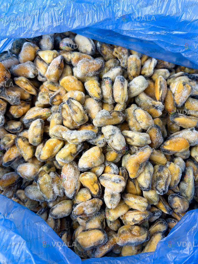 Мясо мидий 200/300 1 кг (Чили) Мясо мидий 200/300 1 кг (Чили) - VDALA.PRO