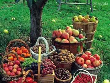 Чернозем Перегній Київ Грунт в мішках Київска область Перегній - VDALA.PRO