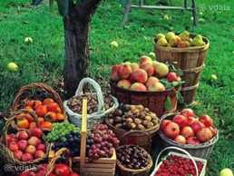 Чернозем Перегній Київ Грунт в мішках Київска область Перегній Чернозем Перегній Київ Грунт в мішках Київска область Перегній - VDALA.PRO