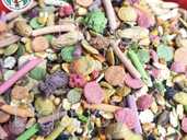 Корм ласощі для всіх видів гризунів - 1 Корм ласощі для всіх видів гризунів - VDALA.PRO - 1