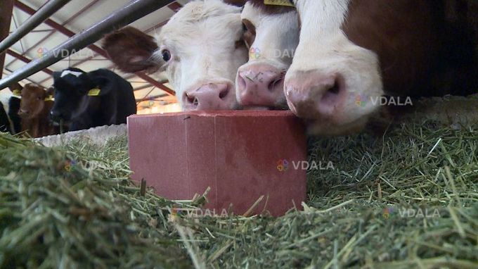 Соль-лизунец mineral block Соль-лизунец mineral block - VDALA.PRO