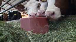 Соль-лизунец mineral block - VDALA.PRO