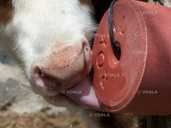 Соль-лизунец mineral block - 3 Соль-лизунец mineral block - VDALA.PRO - 3