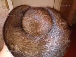 Жіноча шапка з натурального хутра норки р. 56-57. - VDALA.PRO