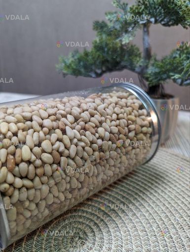 Кедровый орех 500 г Кедровый орех 500 г - VDALA.PRO