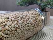 Кедровый орех 500 г - 1 Кедровый орех 500 г - VDALA.PRO - 1