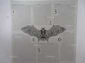 Ozzy Osbourne - Ordinary Man ( Epic - Europe ) - VDALA.PRO - 3