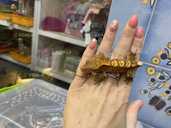 Малюки Бананоїди - 3 Малюки Бананоїди - VDALA.PRO - 3