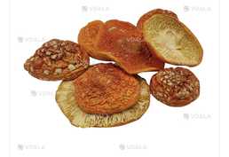 Мухомор - VDALA.PRO