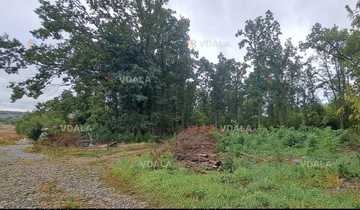 Продам Земельна ділянка 0.12 га. Продам Земельна ділянка 0.12 га. - VDALA.PRO