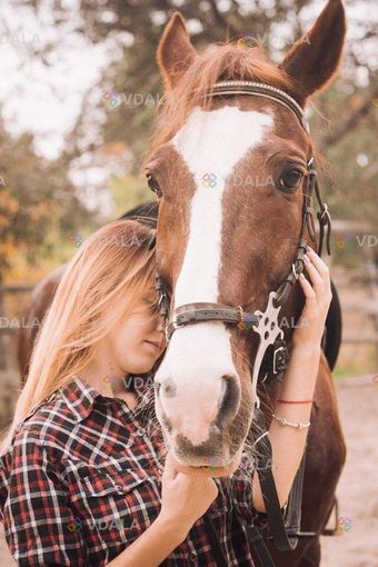 Кінні прогулянки в Броварах, іпотрапія, фотосесії з кіньми. - VDALA.PRO