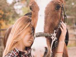 Кінні прогулянки в Броварах, іпотрапія, фотосесії з кіньми. - VDALA.PRO