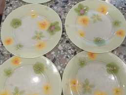 Набір із 6 тарілок для обіду Luminarc Anis Poeme діаметром 25 см - VDALA.PRO