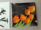 Продам квадратные стеклянные тарелки - VDALA.PRO - 4