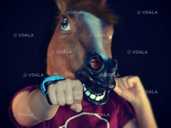 Маска латексная Конь Бо Джек супер реалистичная - VDALA.PRO - 1