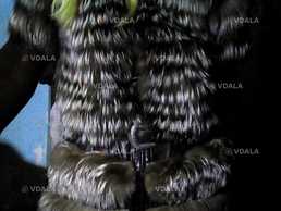 Жилет с рукавами(фонарик) чернобурка - VDALA.PRO