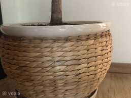 Вазон для комнатных цветов - VDALA.PRO